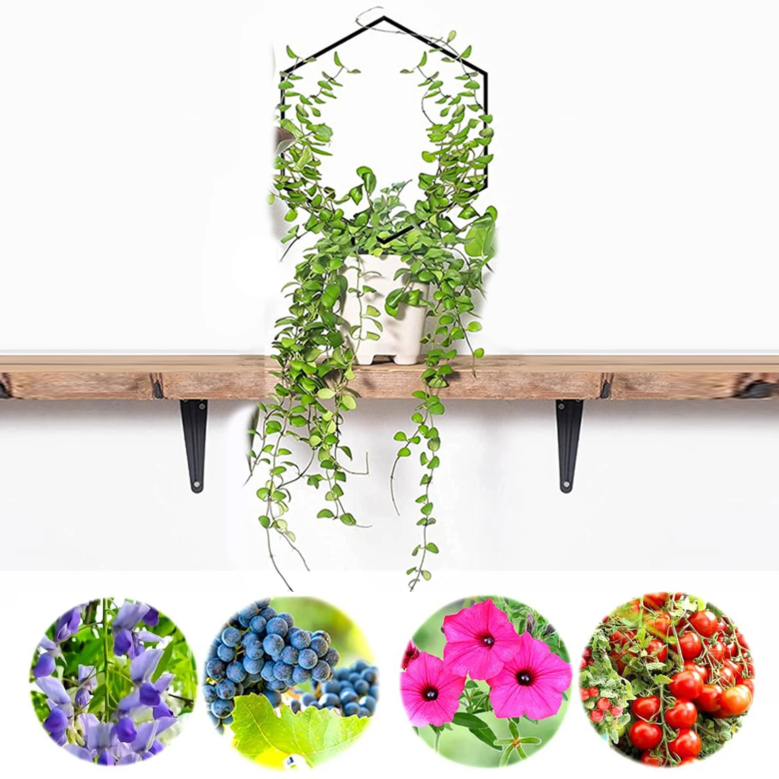 

Подставка для растений, антикоррозийная металлическая полка для комнатных растений, мелкие приспособления для садоводства