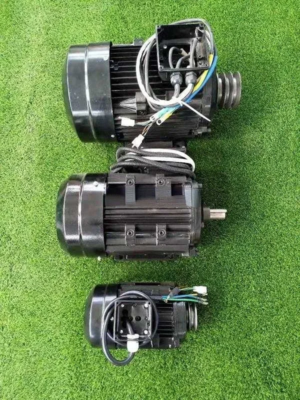 48 В 72 в 2 кВт 5 3 4 для аккумулятора лодки морской бесщеточный двигатель