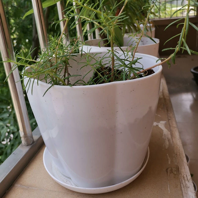 Акция! 16 шт. пластиковые плантаторы для саженцев |