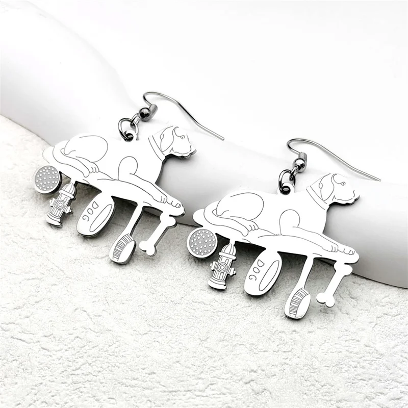 Серьги-подвески для женщин и мужчин из нержавеющей стали серебристого цвета