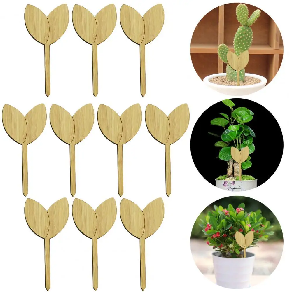 

Водонепроницаемый экологически чистый декоративный натуральный горшечный знак, Садовые принадлежности