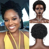 short afro kinky curly wigs natural glueless pixie cut hairstyle heat resistant synthetic small curls party wig for black women