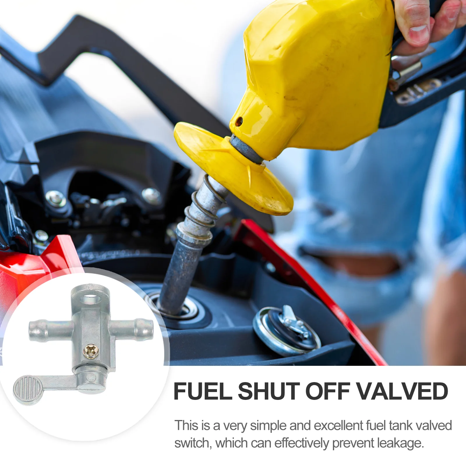 Рисунок 3 - встроенный петух