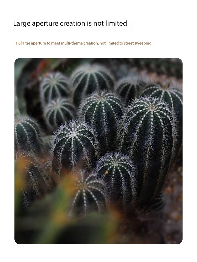 Объектив Фотоаппарата SGimage 25 мм F1.8 фотообъектив с широким углом ручной