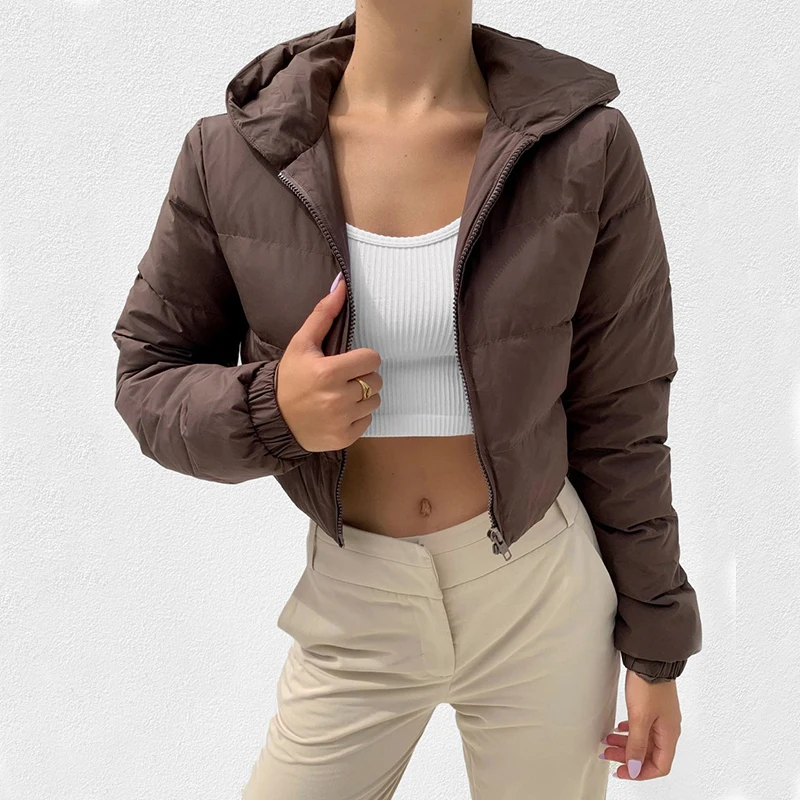 Street Fashion Bubble Coat Standard Collar Oversized Short Jacket Brown 2021 New Winter Autumn Female Puffer Jacket Parkas Mujer
