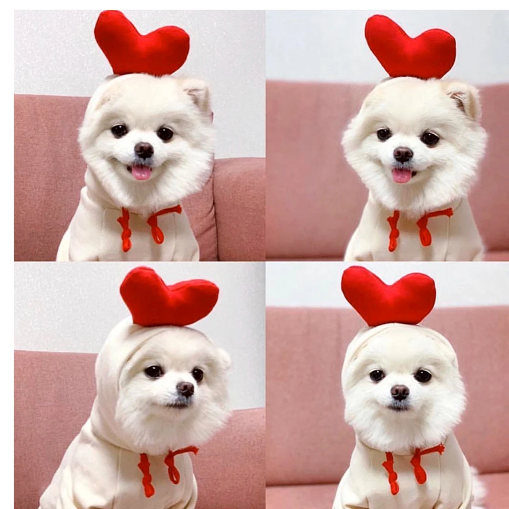 

Warm Dog Winter Cloth Cute Fruit Dog Coat Hoodies Fleece Pet Costume Jacket For French Bulldog Chihuahua Breathable Pet Shirt