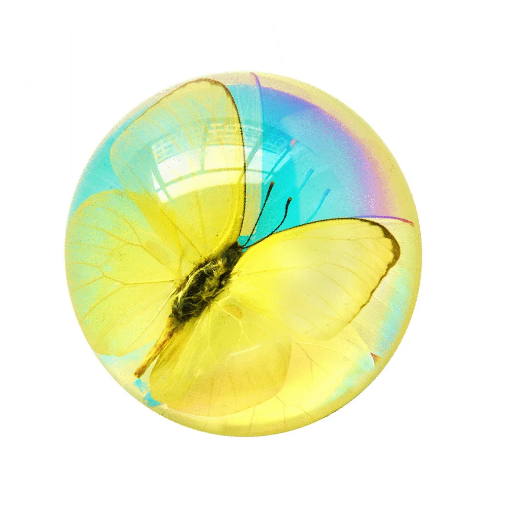 

Образец бабочки в янтаре