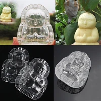 ginseng fruit mold buddha shaped forming mold shaping tool fruit shaper passion fruit garden fruits apple pear peach growth