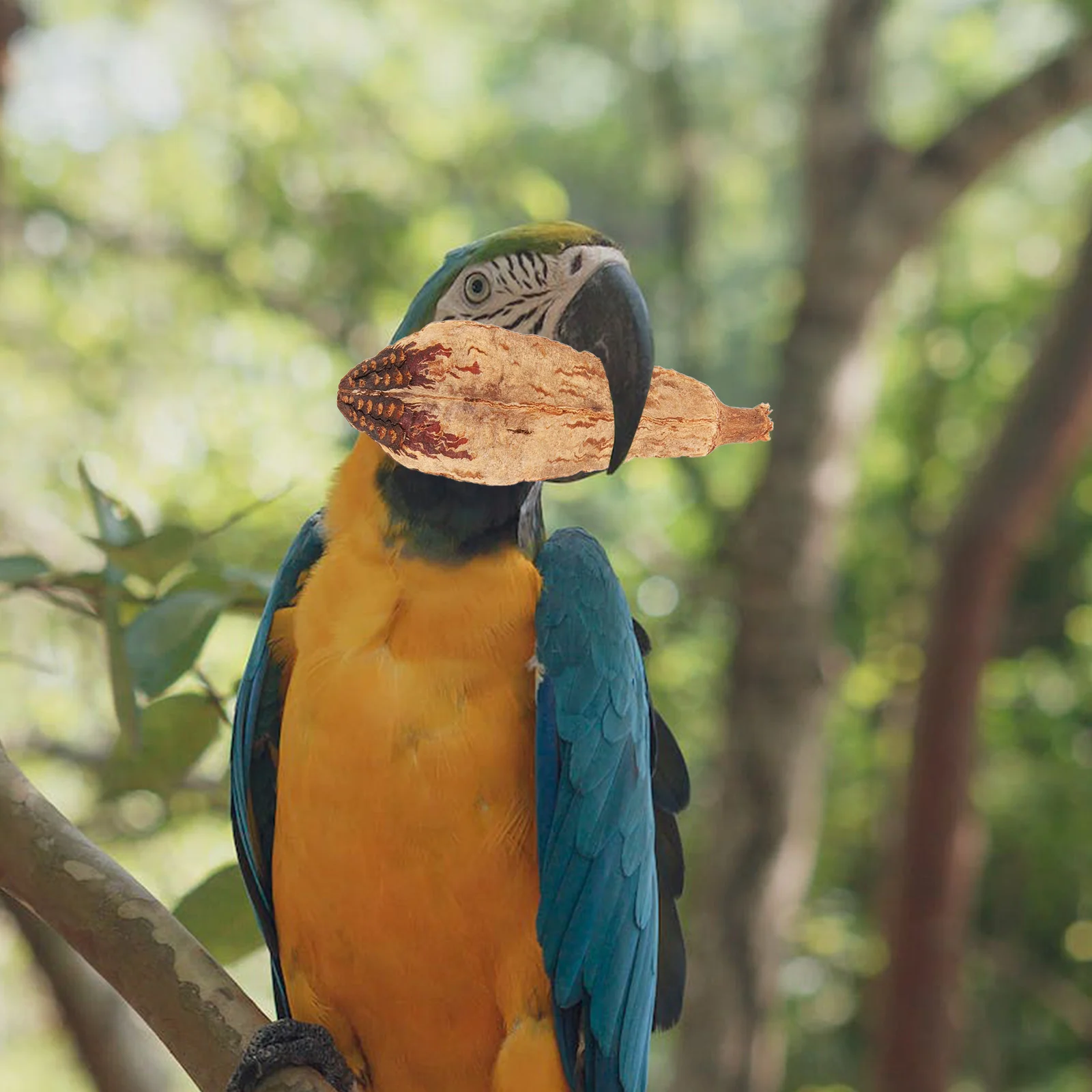 

4pcs Bird Chewing Toy Natural Parrot Foraging Toys Chewing Accessories for Budgie Parakeet