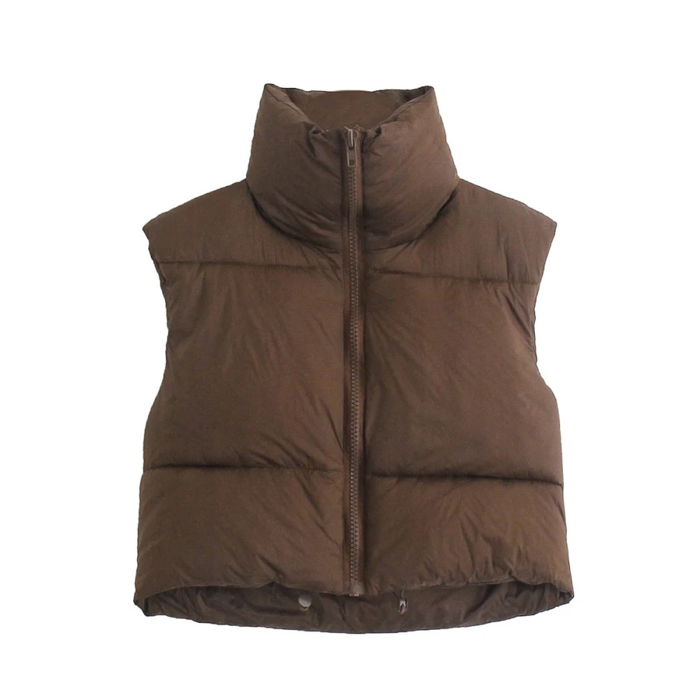 

Women Outdoor Jacket Sleeveless Vest Stand Collar Thicken Waistcoats Winter Hiking Camping Warm Hiking Vest Coats Clothing