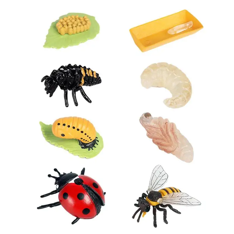 

Animal Life Cycle Figurines 8PCS Ladybug And Bee Life Cycle Kit Biological Model Farm Animal Growth Figure Ladybug Toys Learning