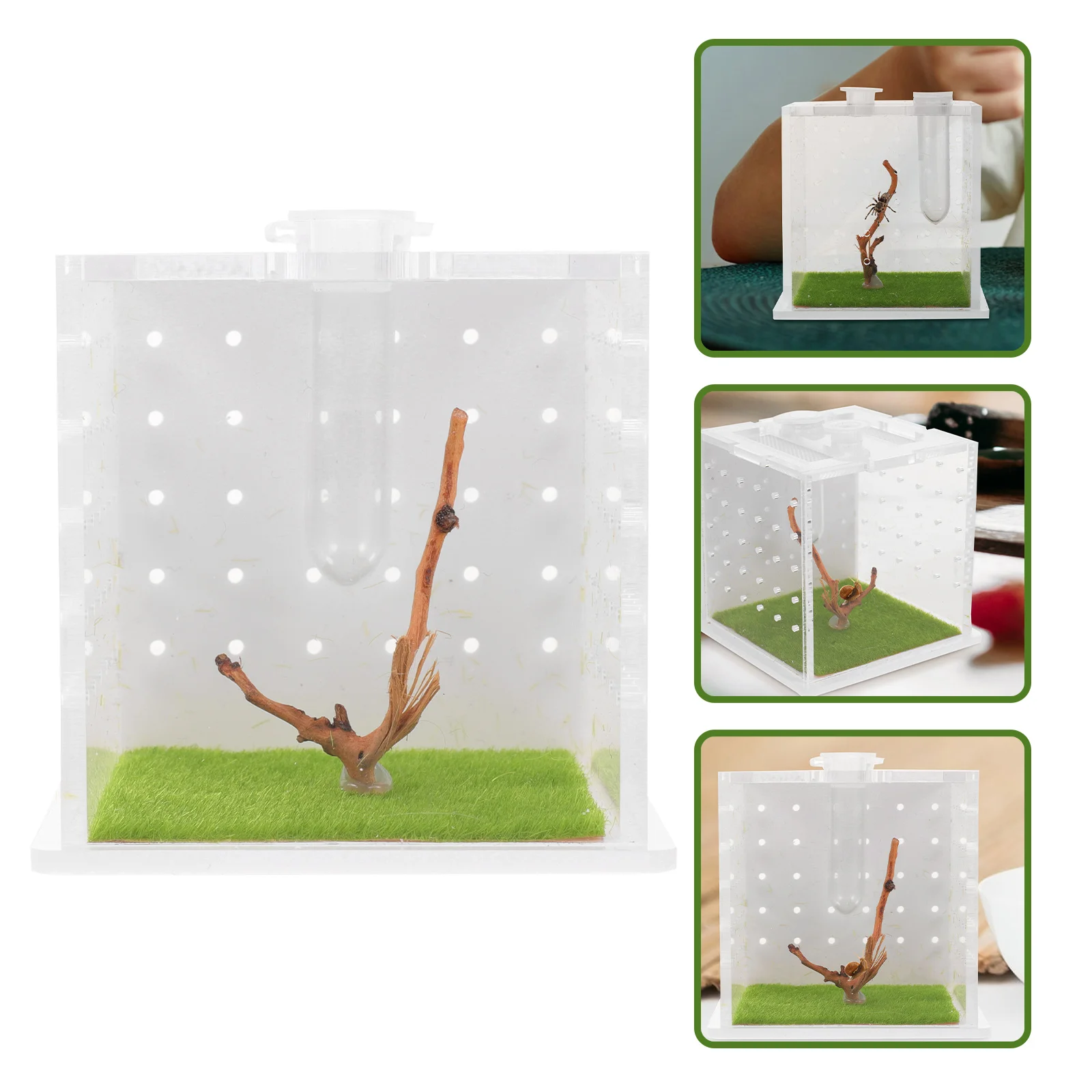 

Reptile Feeding Box Breeding Spider Reptisoil Reptiles Container Enclosure Jumping Transparent Cage Case Anti-escape