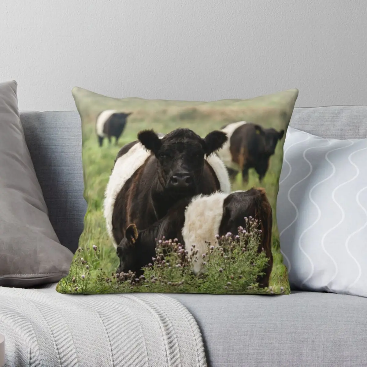 

Belted Galloway Cows Square Pillowcase Polyester Linen Velvet Pattern Zip Decor Throw Pillow Case Car Cushion Cover 45x45