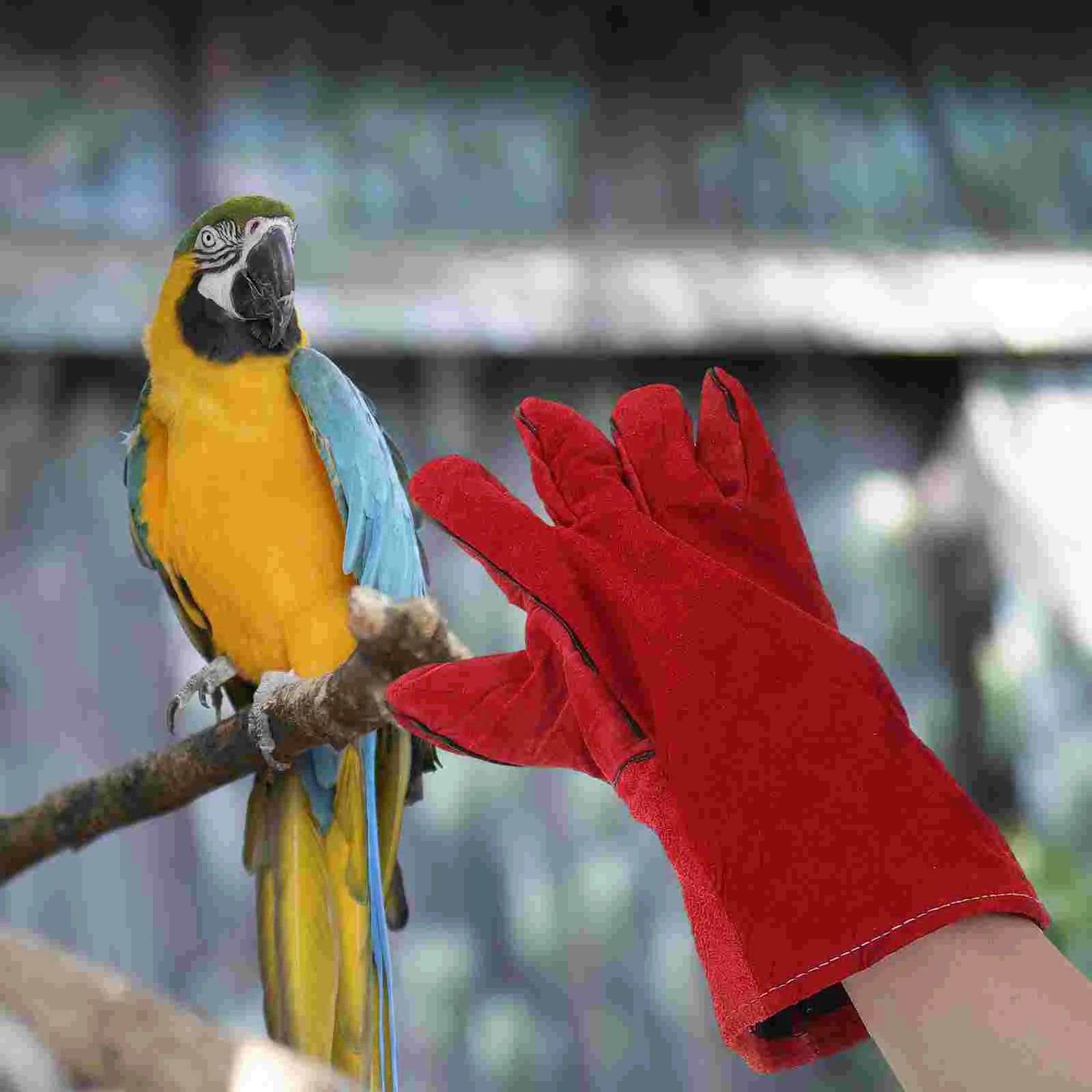 

Dog Bite Gloves Anti Squirrel Feeding Pet Accessory Hand Protective Cover Training Supplies Proof animal handling