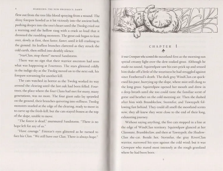 Рисунок 6 - Английские Детские романы кошка