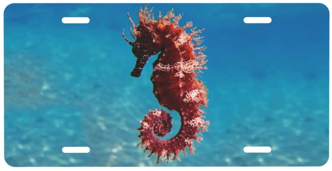 

Car Front License Plate Seahorse License Plate Decorative Vanity Tag Metal Car Plate Novelty Aluminum Home Decoration