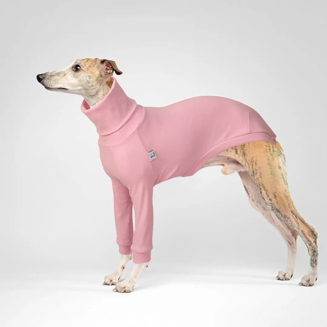 

Одежда для серых собак, зимний костюм, свитер с высоким воротником на две лапы для собак, мягкий, эластичный, толстый, теплый воздушный слой, теплый и ветрозащитный