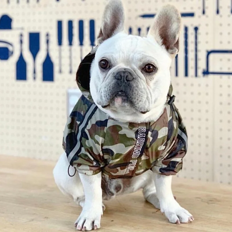 

Pet Clothes New Windproof Rainproof Two-legged Hoodie French Bulldog Golden Retriever Large Medium Small Dog Clothes Dog Coat