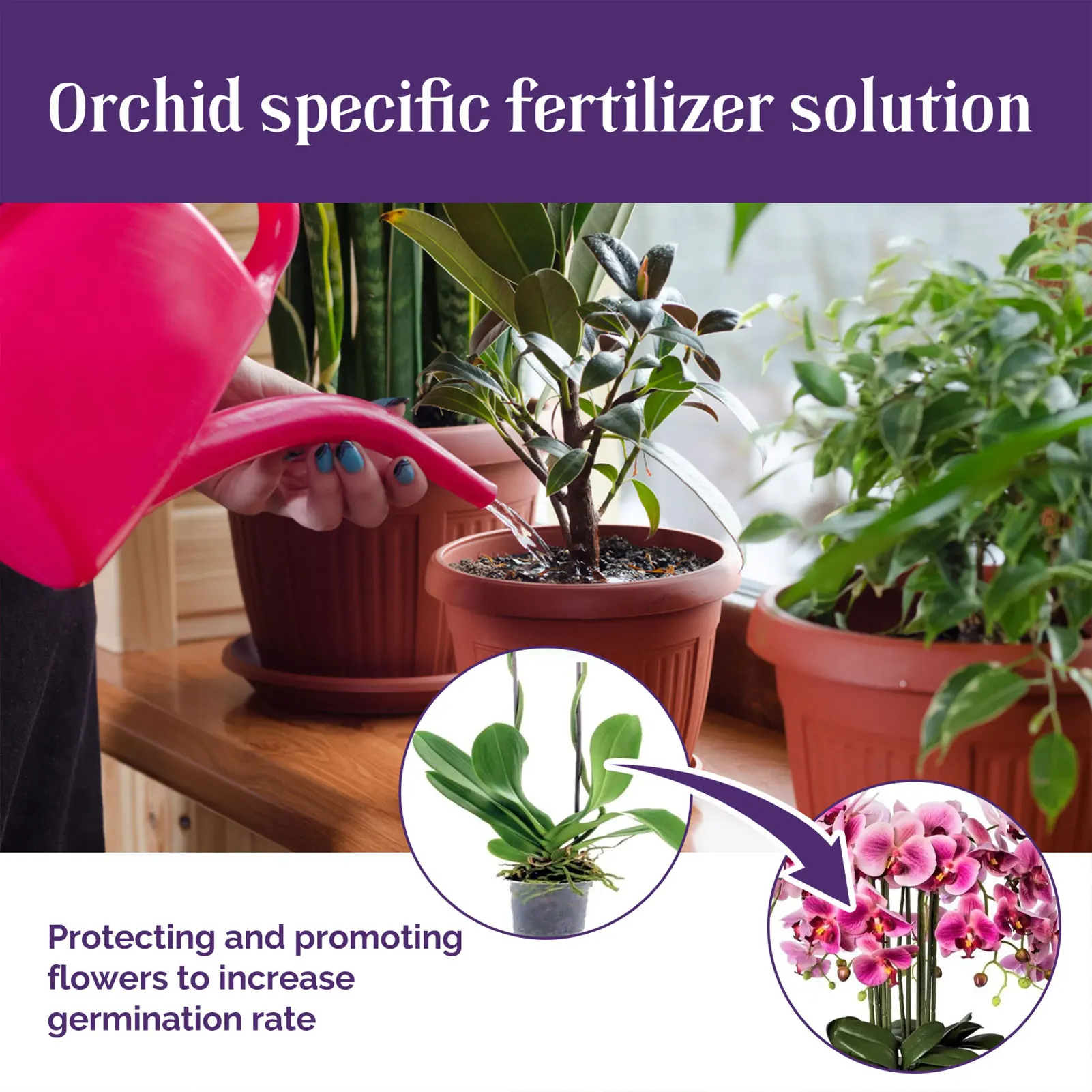 

Ботанический стимулятор роста удобрения натуральные ингредиенты корневой повысить продвижение цветов питательный раствор подходит для орхидельных растений