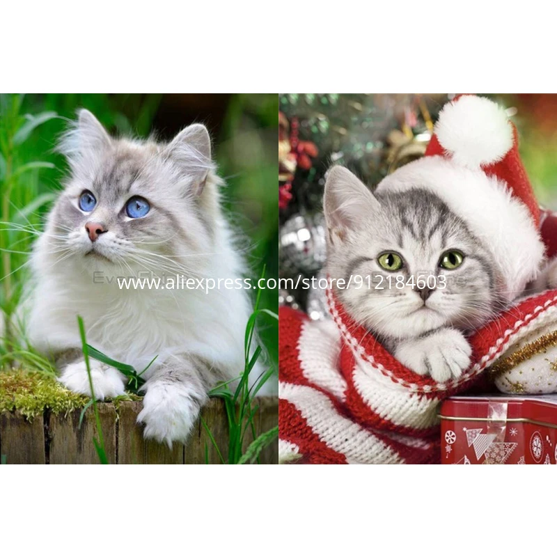 Алмазная живопись ROAMILY изящная сделай сам полноразмерная/квадратная вышивка