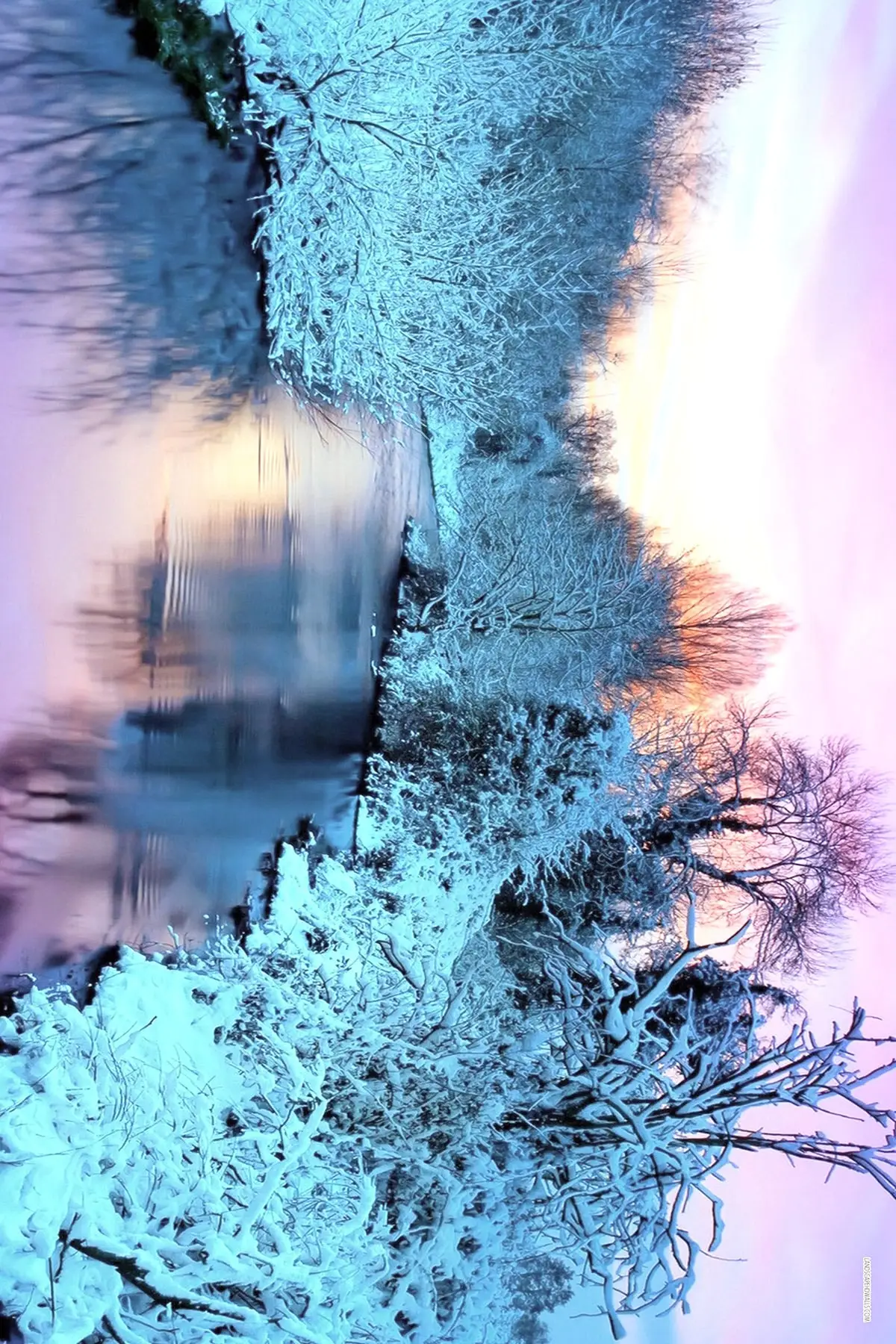 

Домашний декор, чехол для ковров, Ковров, зимний коврик с цифровой печатью