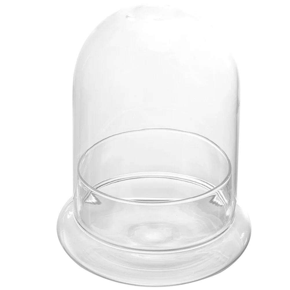 

Flowerpot Vase Moss Landscaping Bottle Glass Plants Terrarium Bottles Caps Decorations Landscape Container Jar Vertical