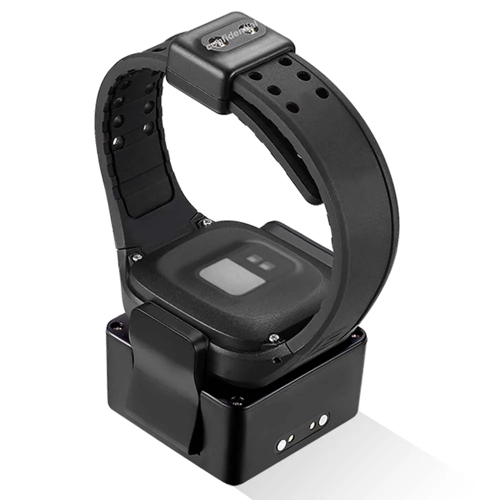

Judicial Tamper-Proof 4G GPS/WIFI/LBS Hydrid Tracking Smart Wristband/Watch/Bracelet Hotselling in North America