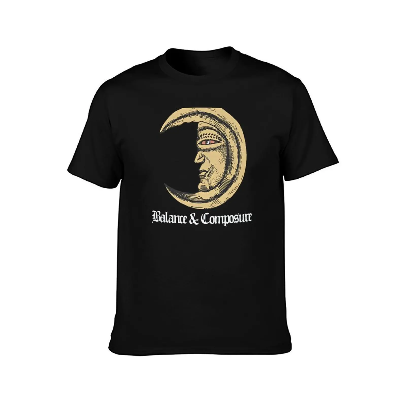 Фото Футболка Balance and Composure Merch Basic Plain Tee для весны и лета №2