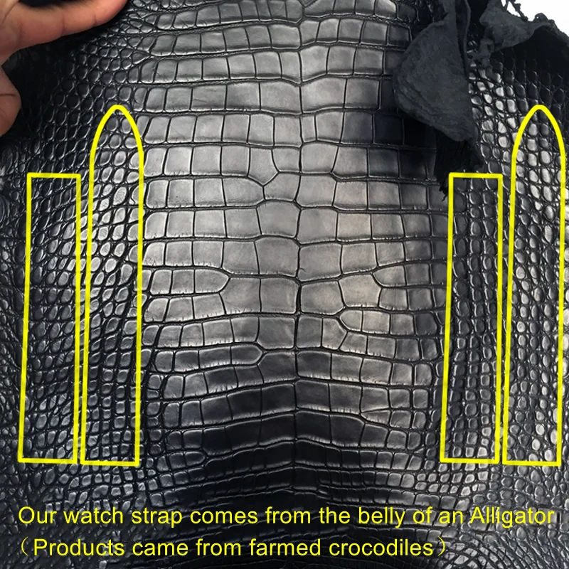 Luxury Double-sided Crocodile Watch Strap for Men/Women Crocodile Watch straps Leather Classic Design Watchbands Pefect Men Gift