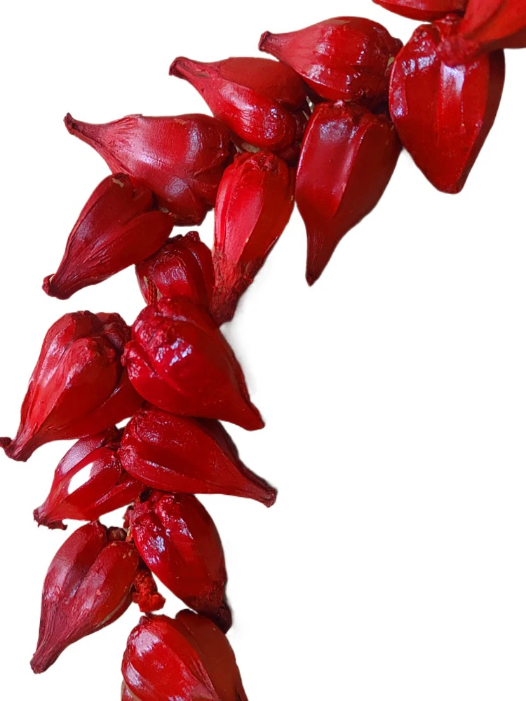 Традиционное ожерелье из натуральной красной волны самоанское официальное