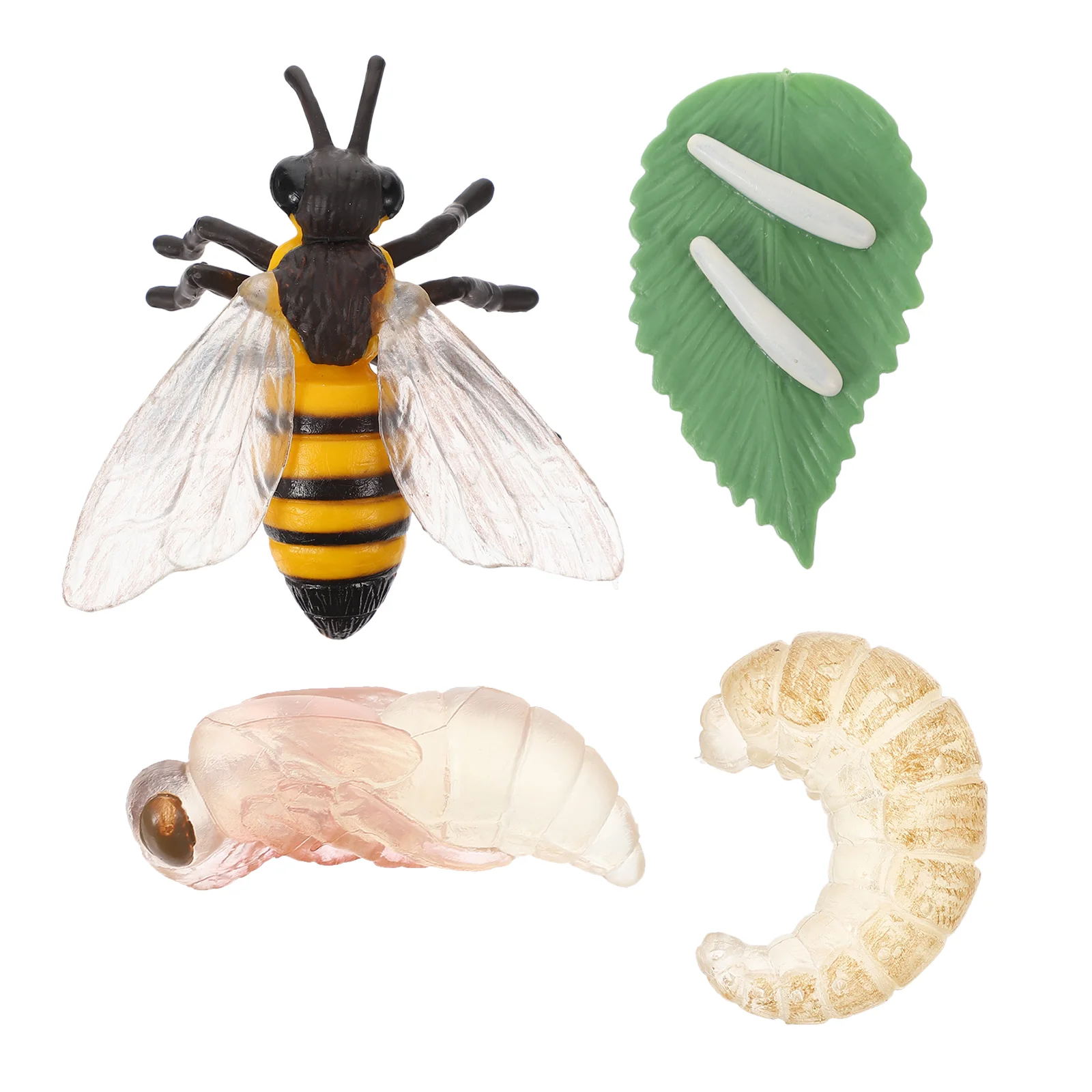 

1 Set Animals Figurines Life Cycle Realistic Model Toys Insect Figurines Educational Toys for Kids Toddler Children