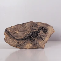resin tyrannosaurus fossil model taxidermy skull statue home decor crafts wall hanging decorations home decoration accessories