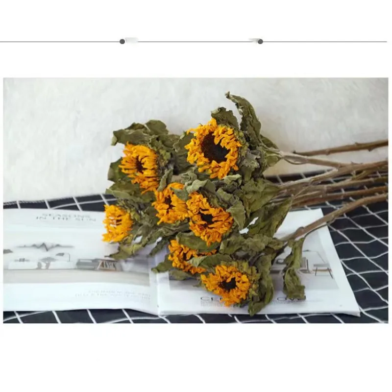 5pcs Dried Flowers Pampas Decoration Home Wedding Christmas  2023 Dried Flowers Valentine's Day