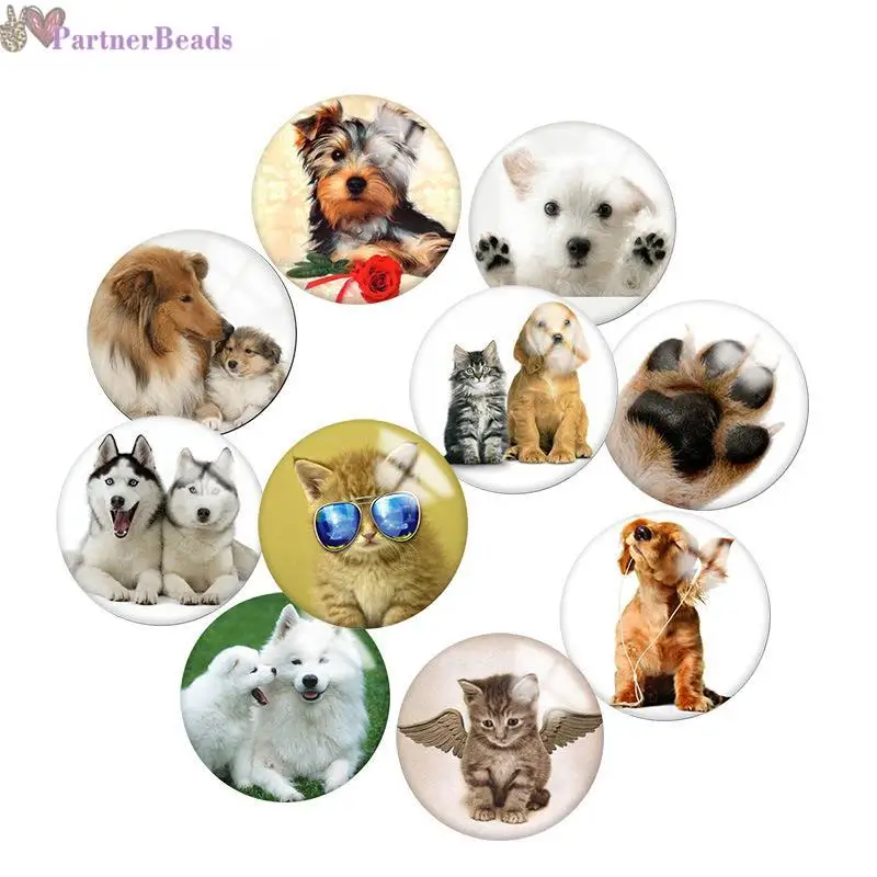 

Cat and dog Round Photo Glass Cabochon Demo Flat Back Making Findings 20mm Snap Button N1191