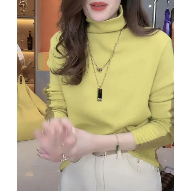 Рисунок 2 - Женский модный свитер с высоким воротником