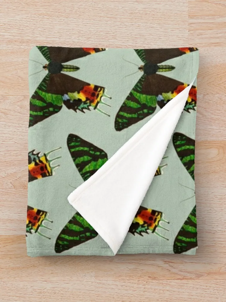 Мадагасканская молька заката - Кризиридия rhipheus винтажная мотылка плед роскошные