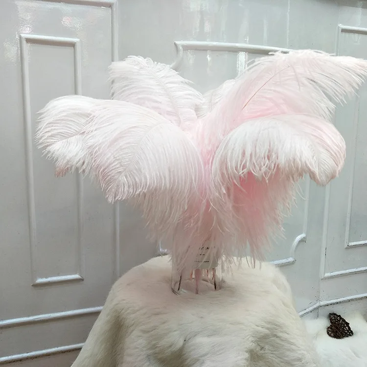 25PC 50-55CM Бежевые крашеные страусиные перья натуральные настоящие перья Пары для свадебных центральных украшений ремесла карнавал.