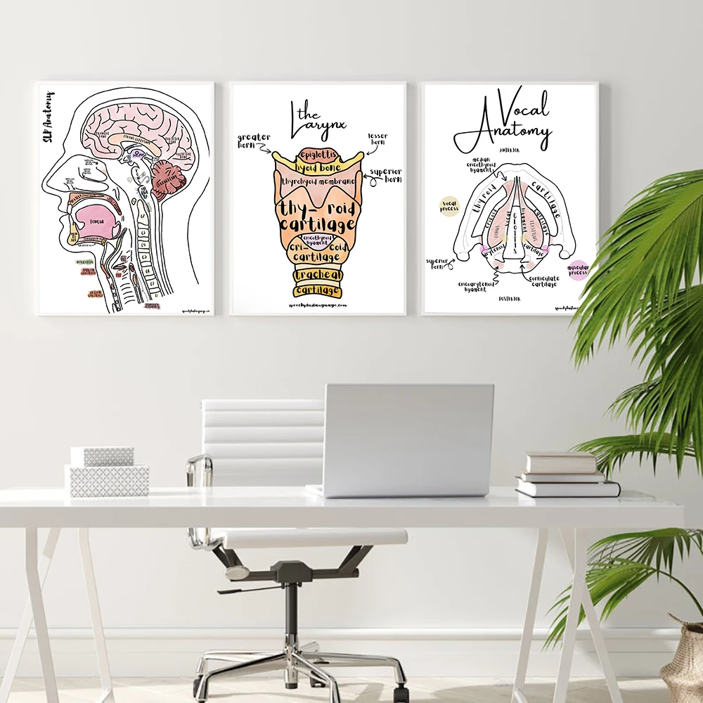 

Medical Education Anatomy Physiology Wall Art Canvas Painting Nordic Posters And Prints Wall Pictures For Home Office Room Decor