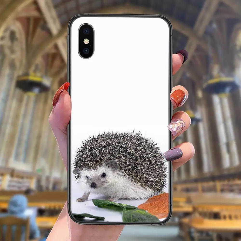 Водонепроницаемый чехол с рисунком ежа для Xiaomi Redmi 9 9A 9C 8A Pro Max K40 Plus |