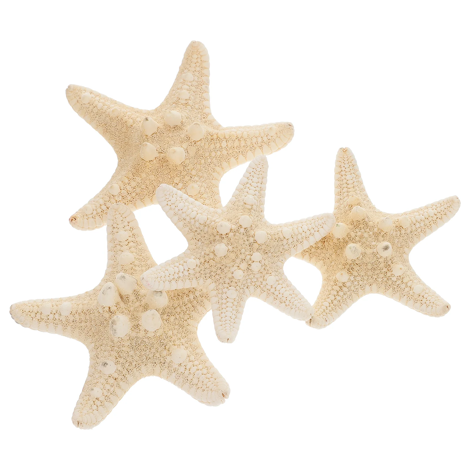 

Sea Stars Decor Natural Crafts Beach Ornament Star Shell Decoration Shells Seashell Wall Conch Ocean Mini Nautical Seashells Diy