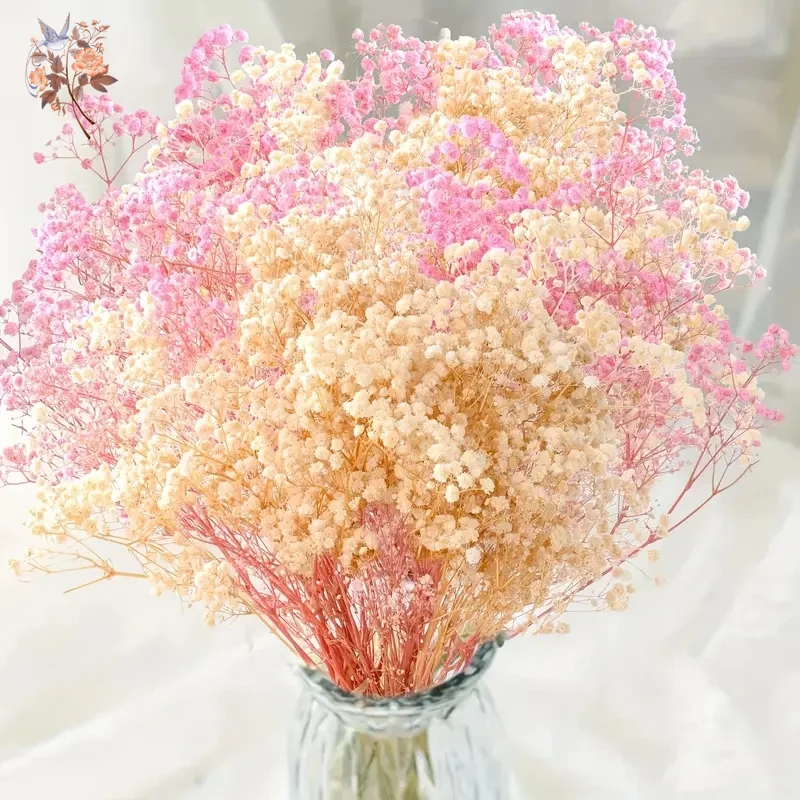 מאגר הקופונים הסודי של עליאקספרס! 300+ קופונים למוצרים מבוקשים! 1591 S3123c23da3ba43bf8c4462c156e0bf1et