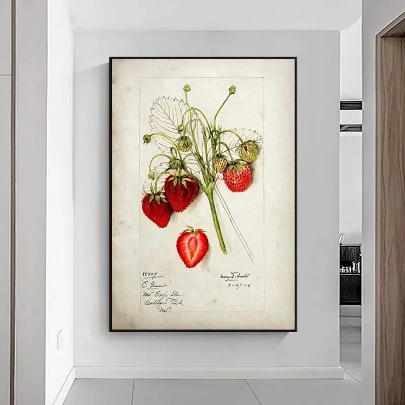 Настенная картина с фруктами ВИНТАЖНЫЙ ПЛАКАТ печать на кухонном холсте груша