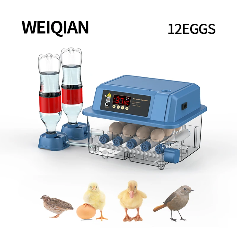 

12 Eggs Incubator With Drawer Type Mini Egg Incubator With Automatic Water Ionic Waterbed Replenishment And Temperature Control