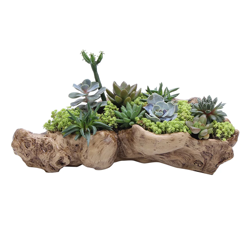 

Resin Succulents Pots Decorative Para Mujer Interior Indoor Plants Flower Decorate