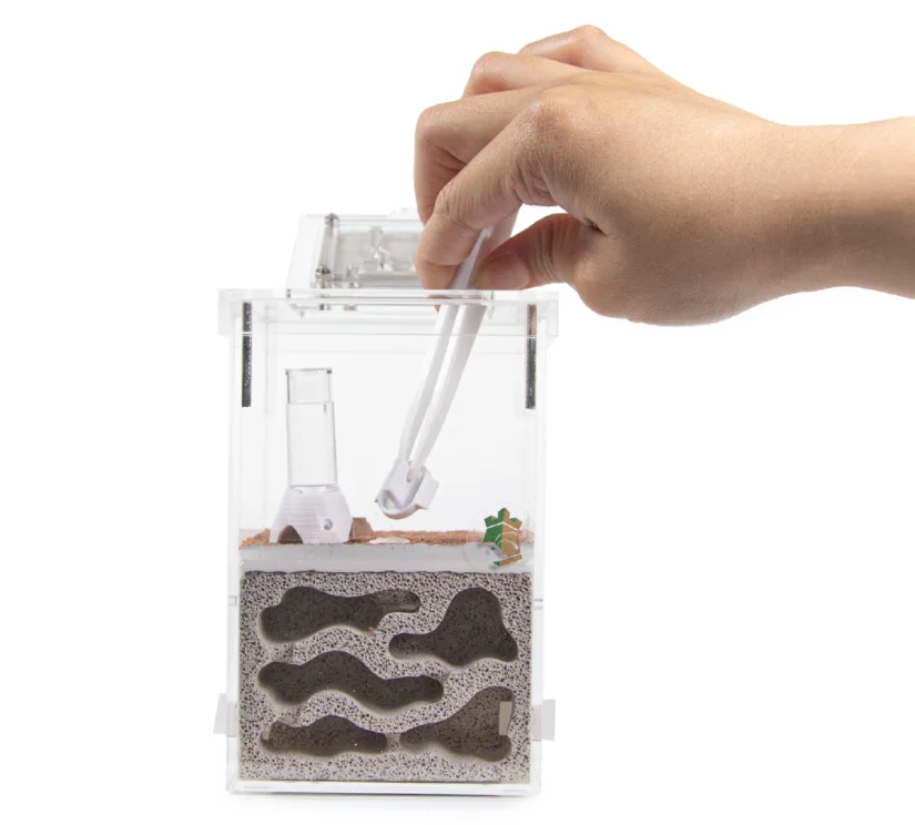 Смотровая коробка для формикариума акриловый дизайн муравьиные аксессуары