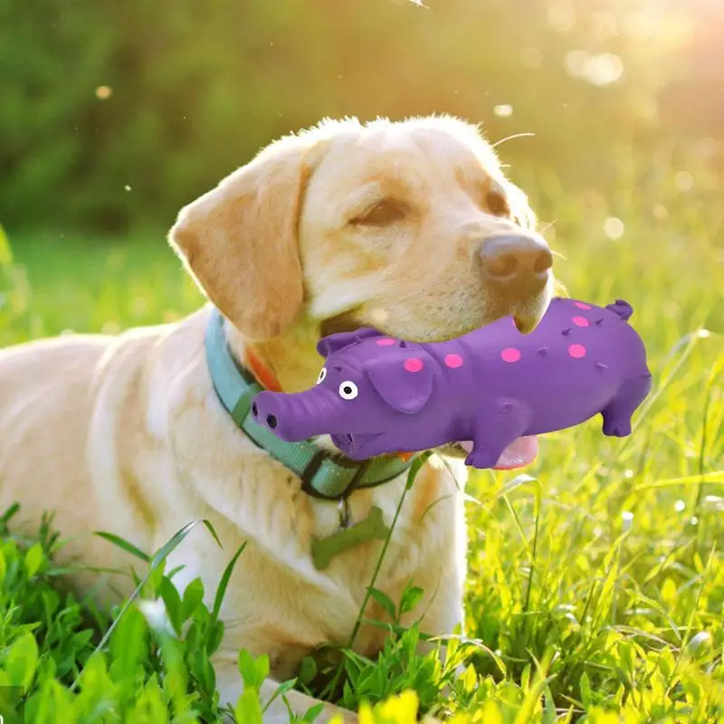 

Dog Chew Toy Flexible Teething Pig Sound Toy For Puppy Interactive Piggy Bite Toys For Cleaning Puppies Teether Dog Accessories