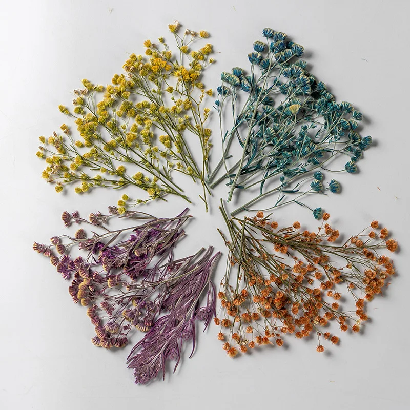 

24PCS/5-7CM,Pressed Pomegrass mini branches,dry flower plant specimen DIY manual sticker adhesive drop bookmark gift card decor