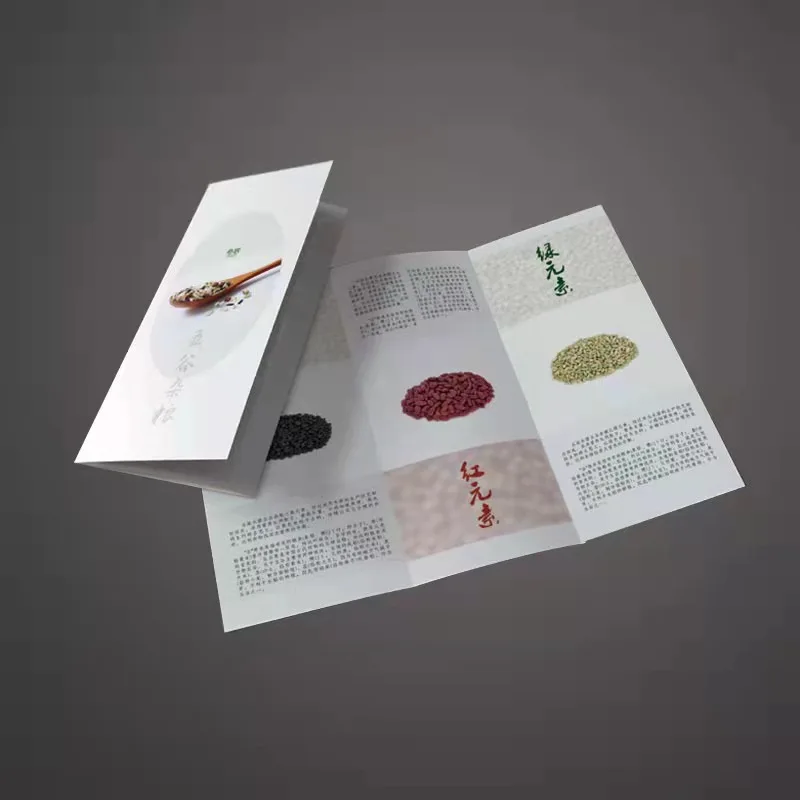 

Offset Printing Coated Paper Products Color Fold-out leaflet folder printing
