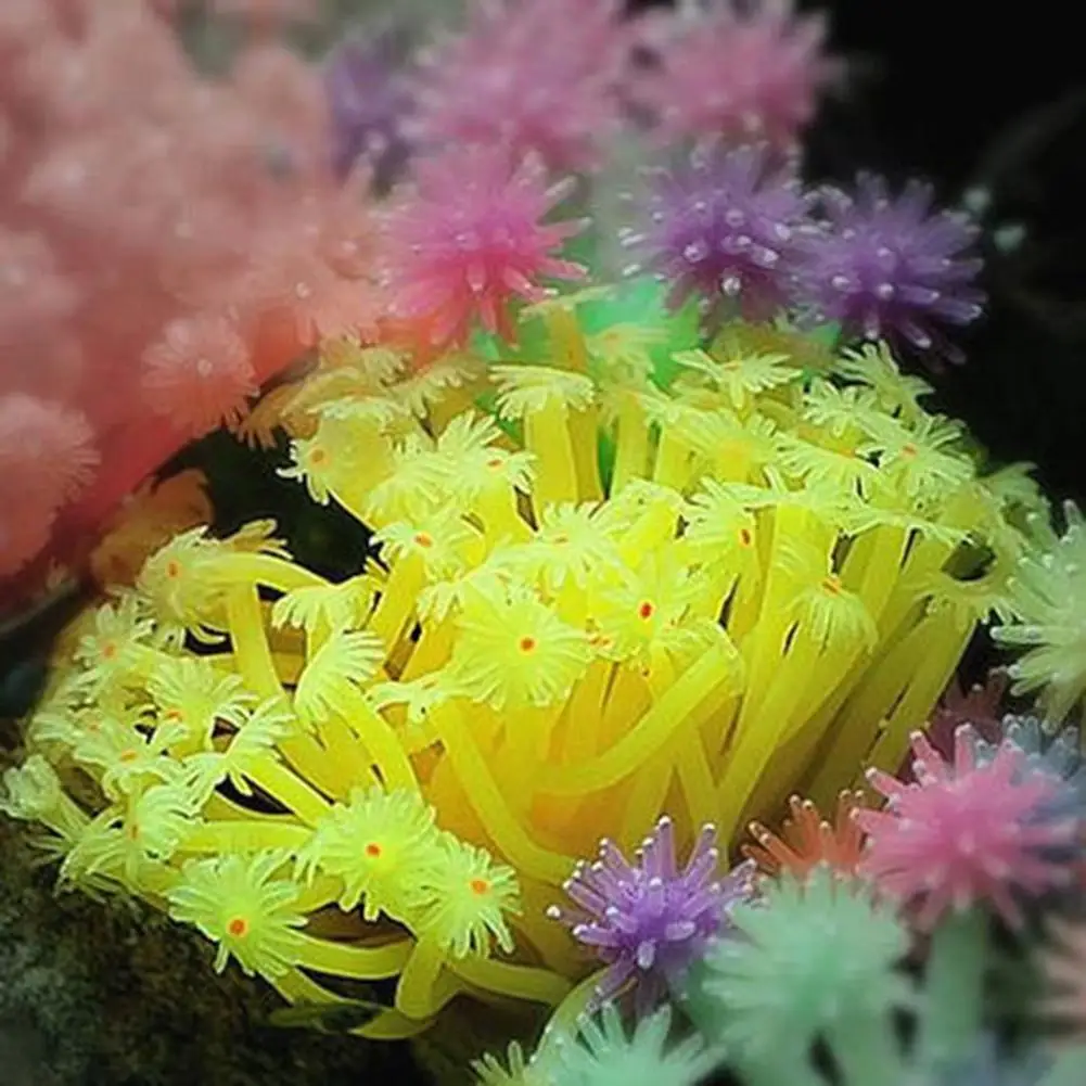 

Soft Silicone Artificial Sea Anemone Multicolor Imitated Coral Ornaments For Fish Tank Aquarium Decoration