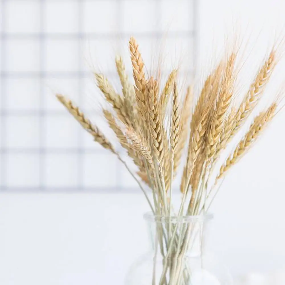 

Artificial Pampas Grass Dry Flower Natural Dried Flowers Real Plants Home Wedding Flowers Decoration For Vase